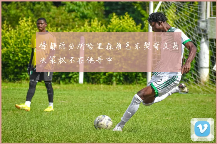 徐静雨分析哈里森角色东契奇交易决策权不在他手中