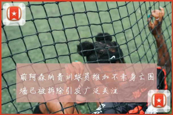 前阿森纳青训球员维加不幸身亡围墙已被拆除引发广泛关注